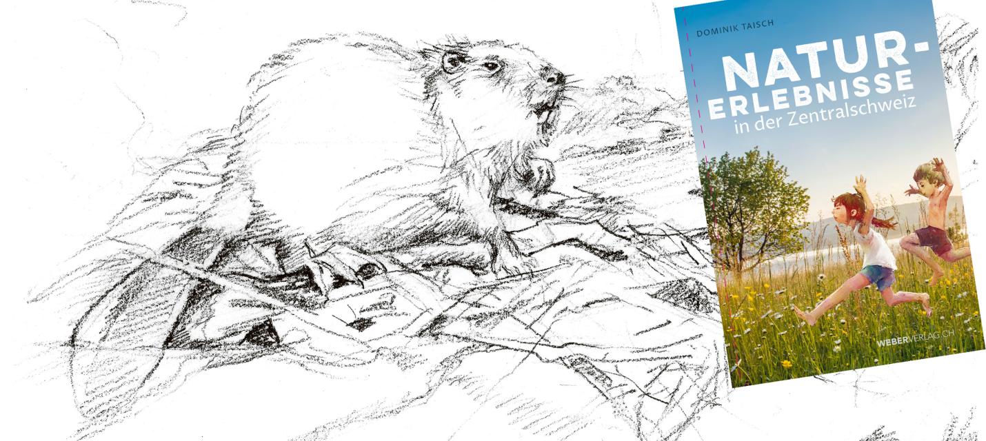 Buchcover mit Skizze